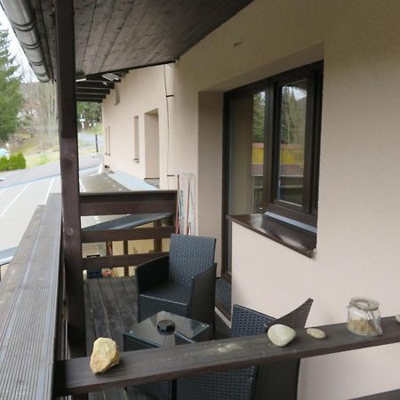 Pension Aura Spicak, Nektere Pokoje Se Saunou Železná Ruda 外观 照片