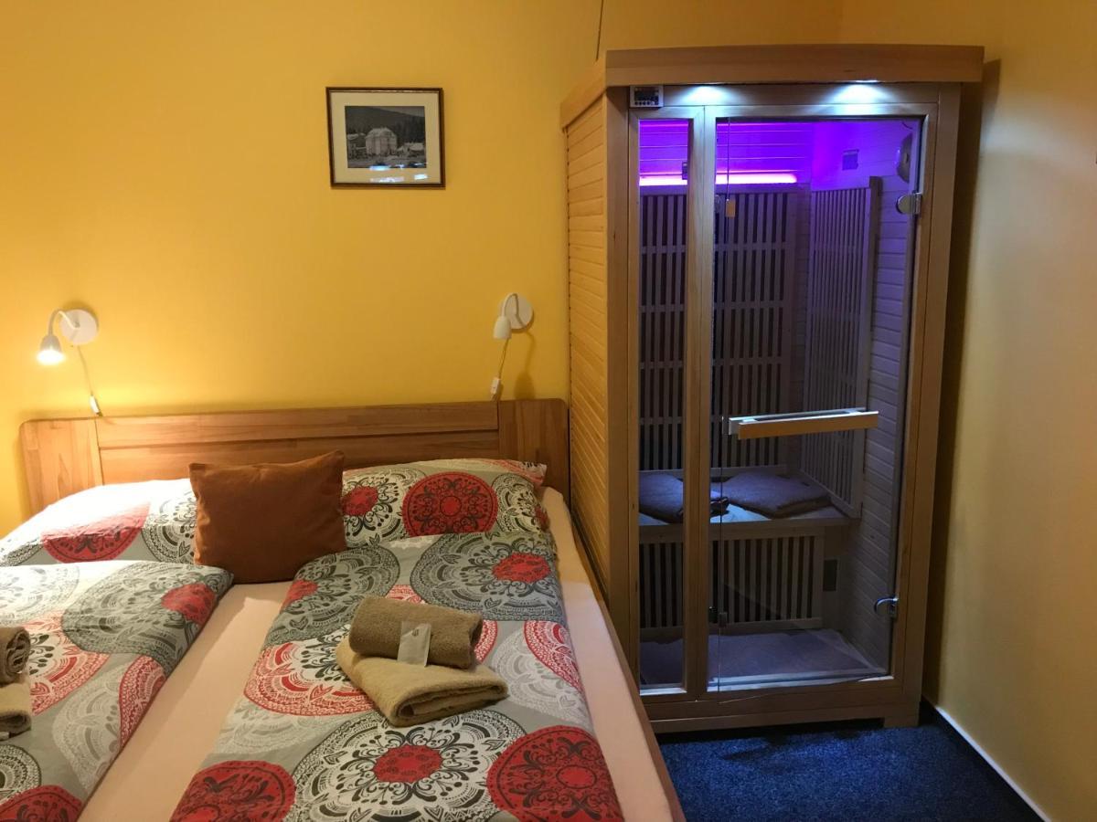 Pension Aura Spicak, Nektere Pokoje Se Saunou Železná Ruda 外观 照片