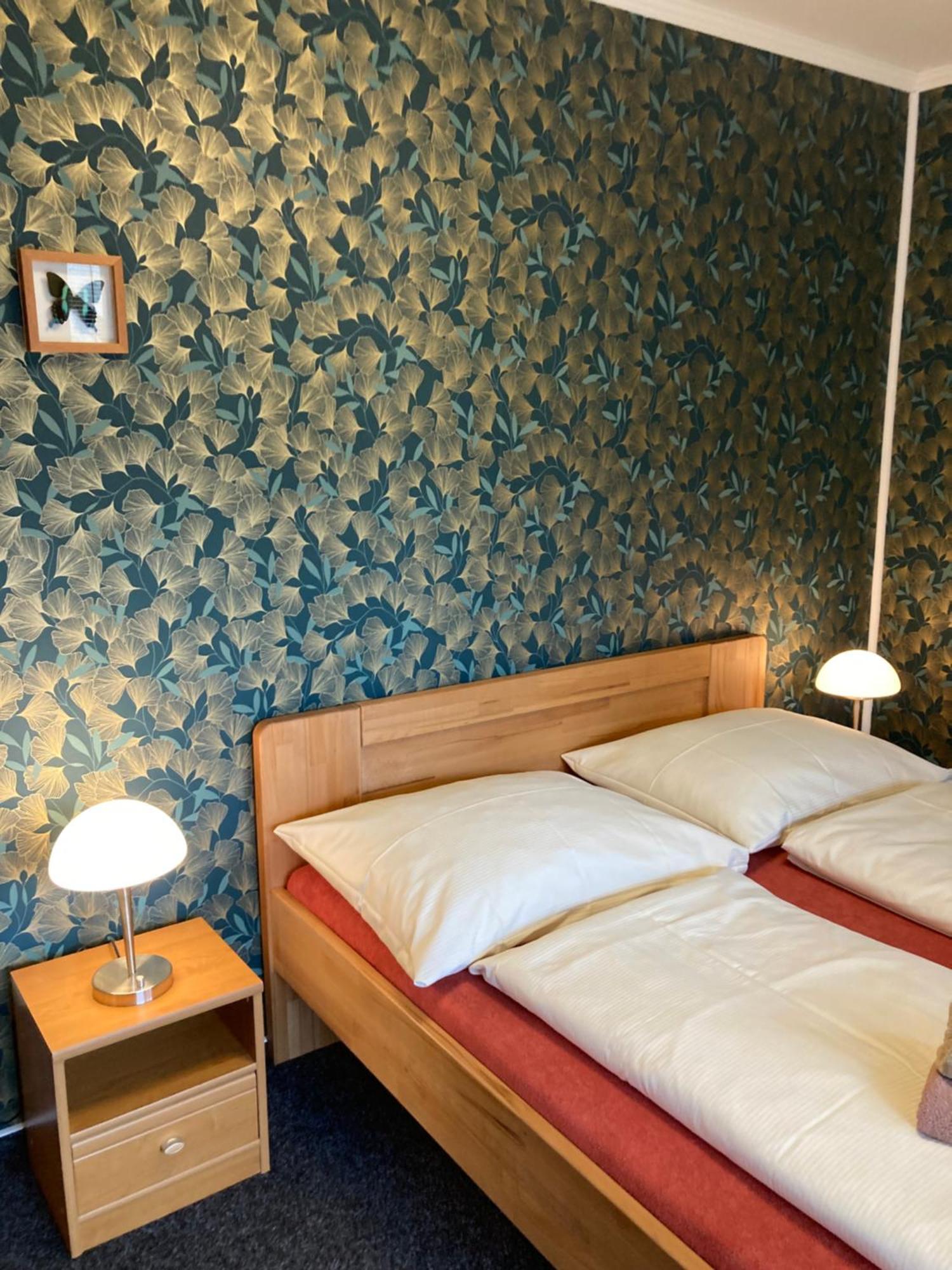 Pension Aura Spicak, Nektere Pokoje Se Saunou Železná Ruda 外观 照片